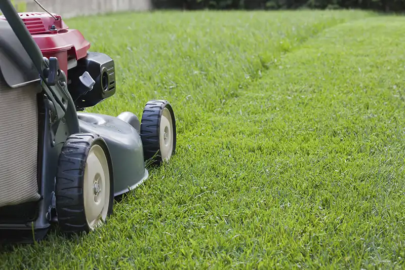 Expert Tips How to Mow a Lawn Orem UT