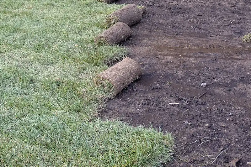 How Long After Installing Sod Can You Walk on It Orem UT