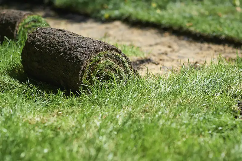 How to Lay Sod Over Existing Lawn Orem UT