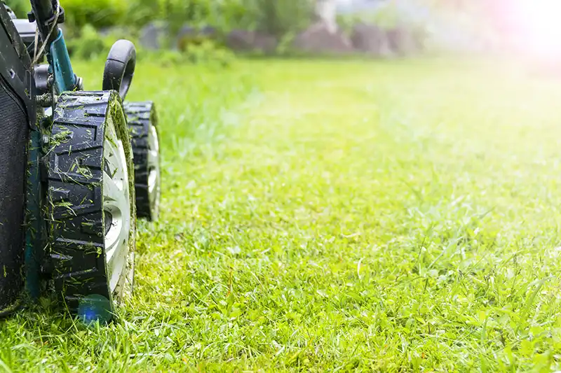 Lawn Mowing in Orem UT