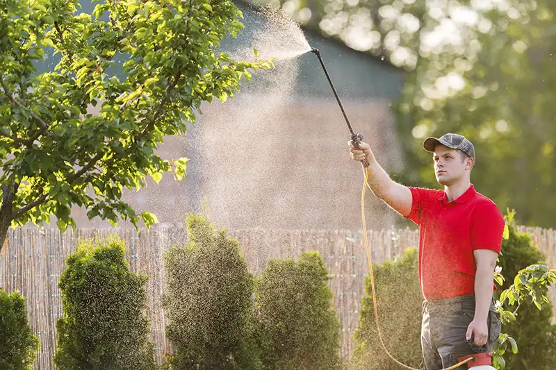 When is the Best Time to Fertilize Your Lawn Orem UT