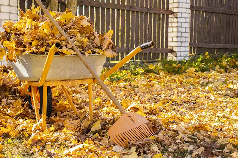 Yard Cleanup Orem UT